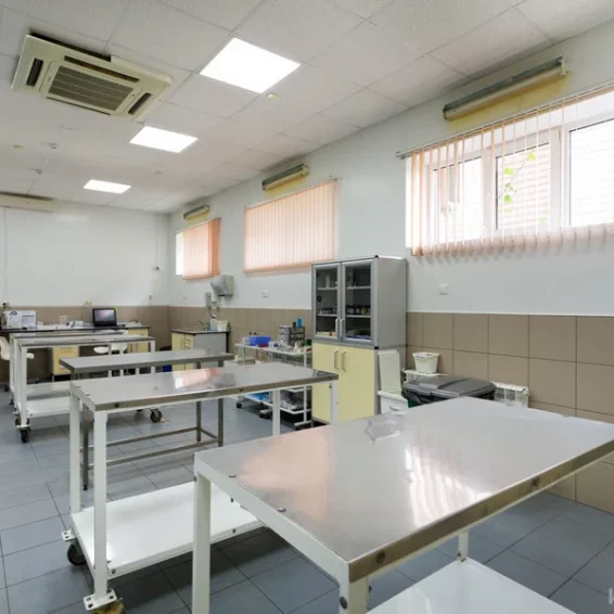 Ветеринарная клиника Большая медведица фотография 12