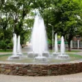 Чистяковская роща фотография 2
